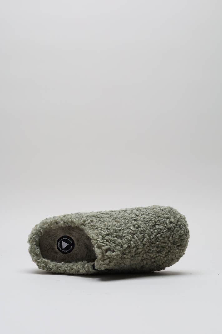 Groen Pantoffel image