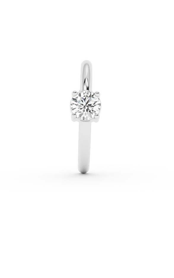 Zilver Oorbellen image