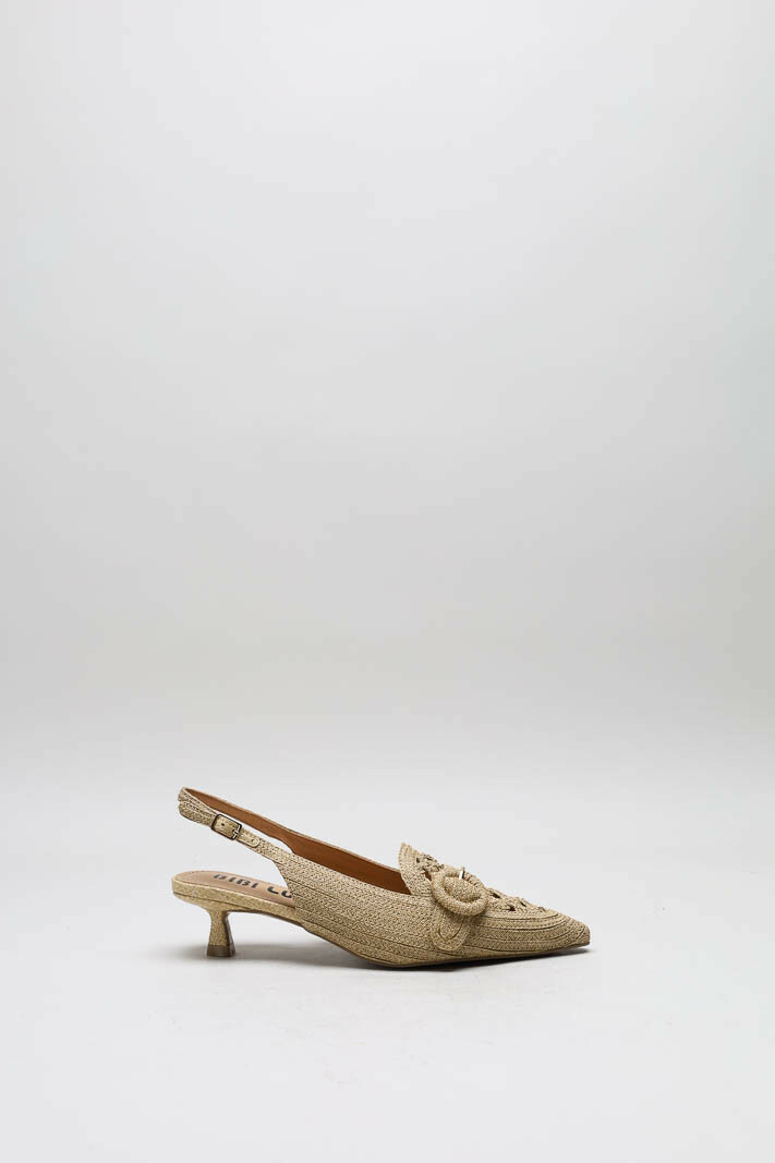 Camel Pump