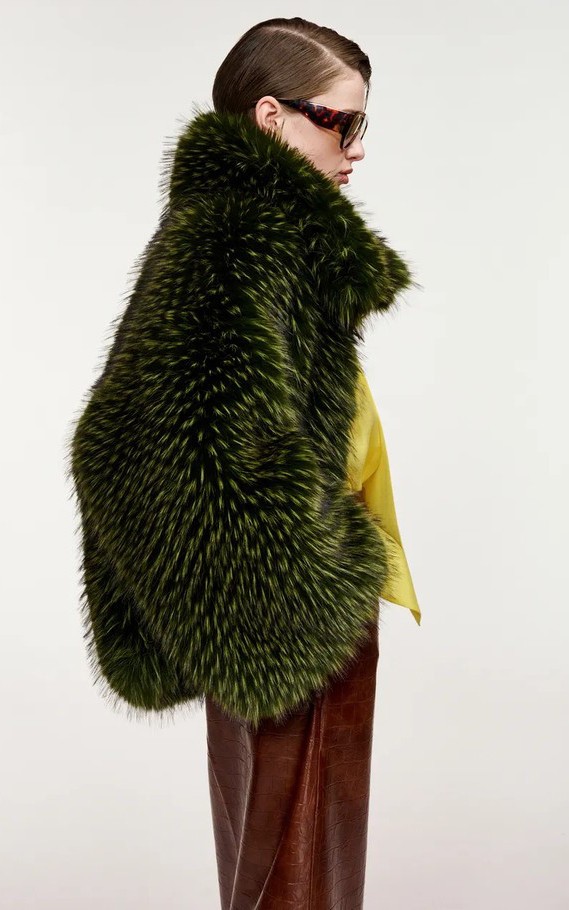 Groen Jas image