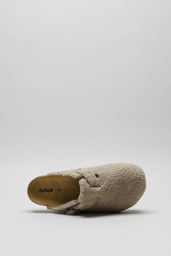 Taupe Muiltje image