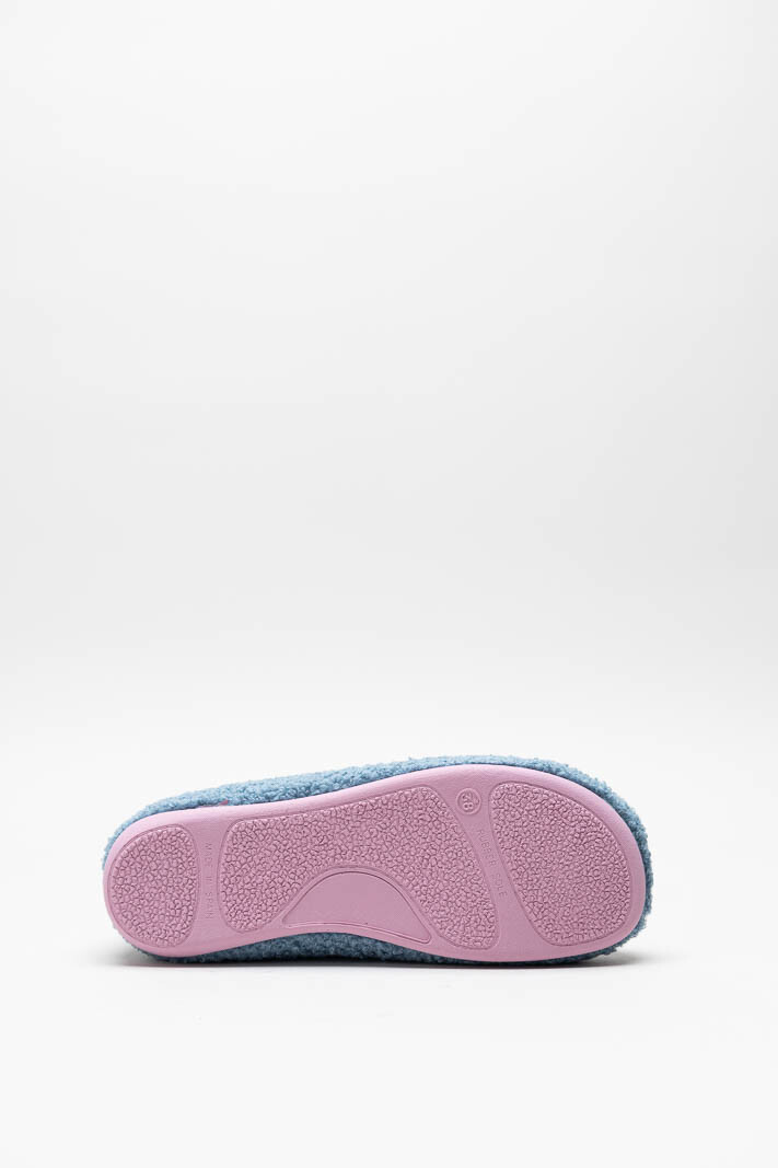 Blauw Pantoffel image