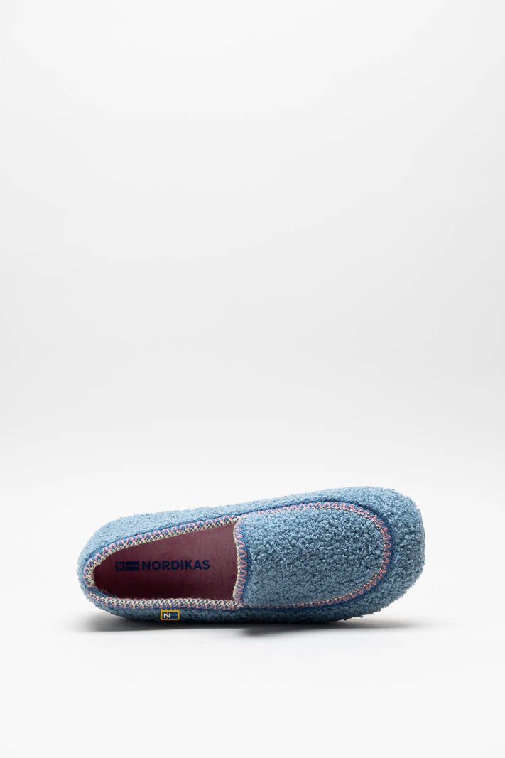 Blauw Pantoffel image