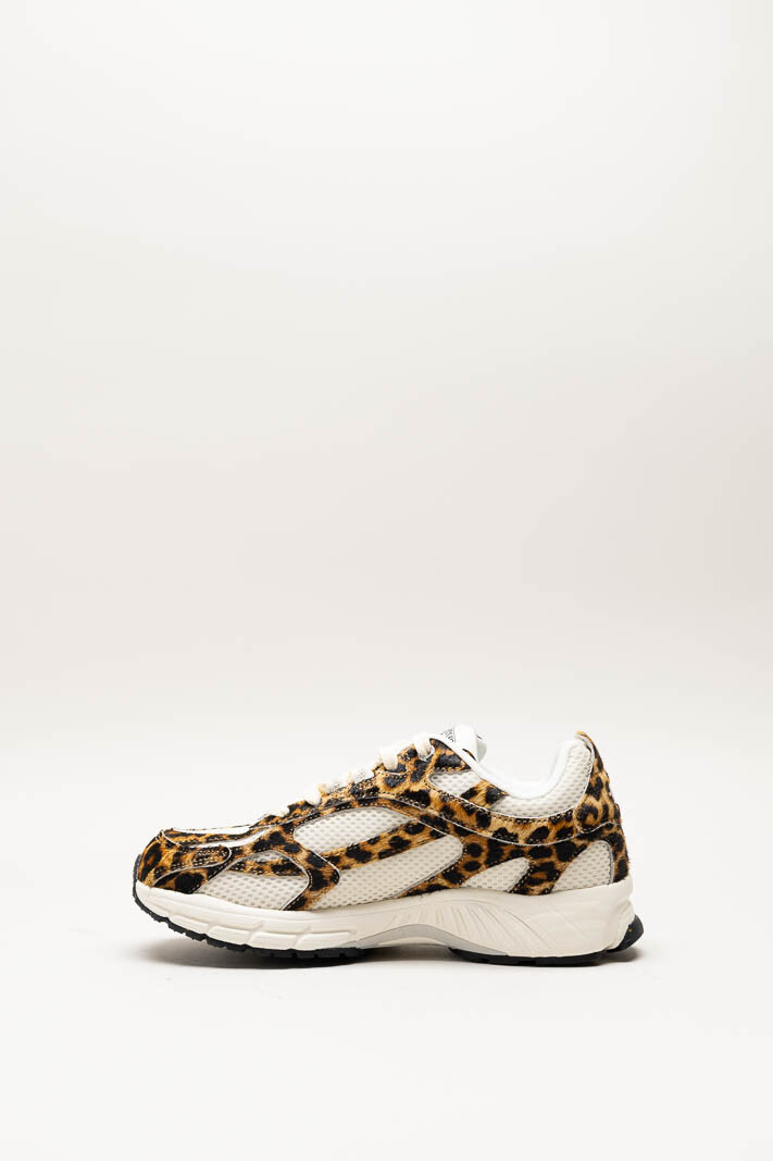 Bruin Sneaker image