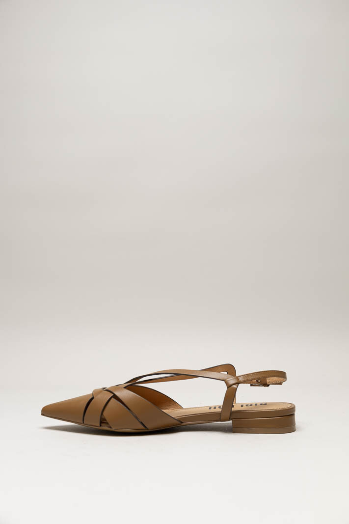 Bruin Ballerina image