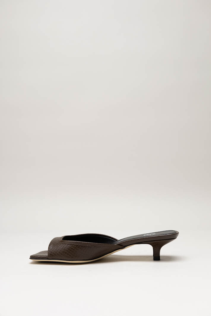 Donkerbruin Muiltje image