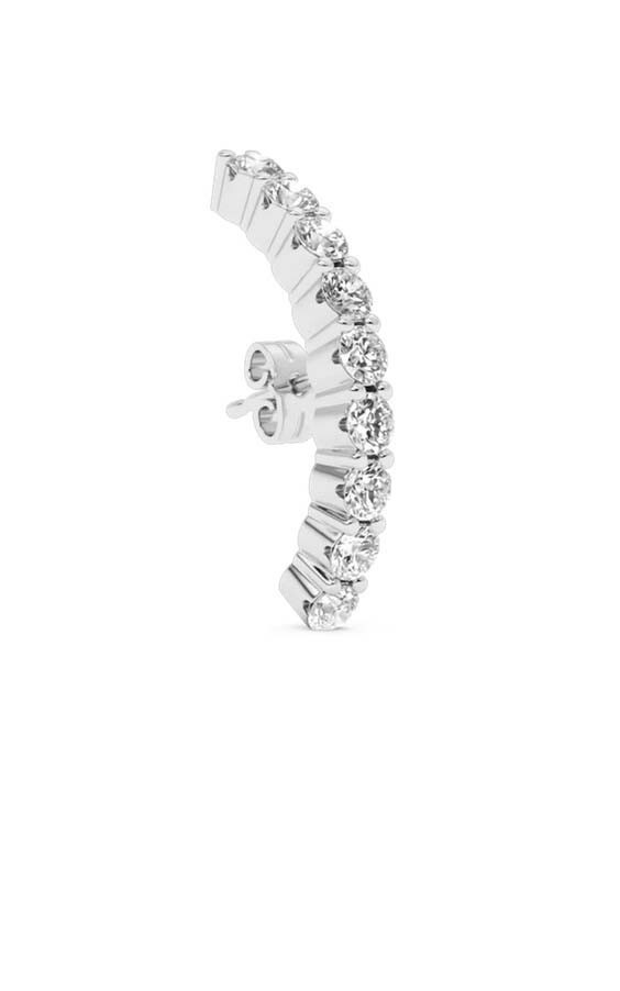 Zilver Oorbellen