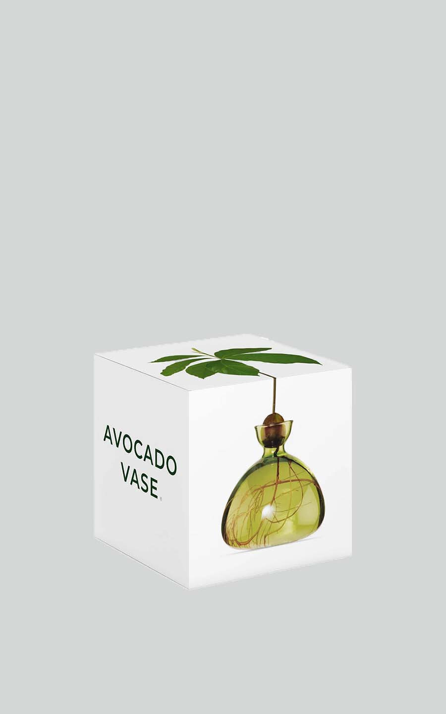 Groen Woonaccessoires