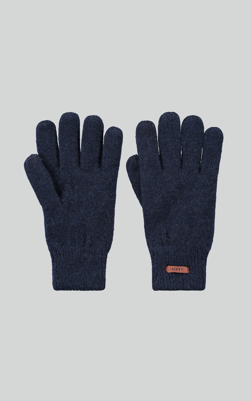 Blauw Handschoenen