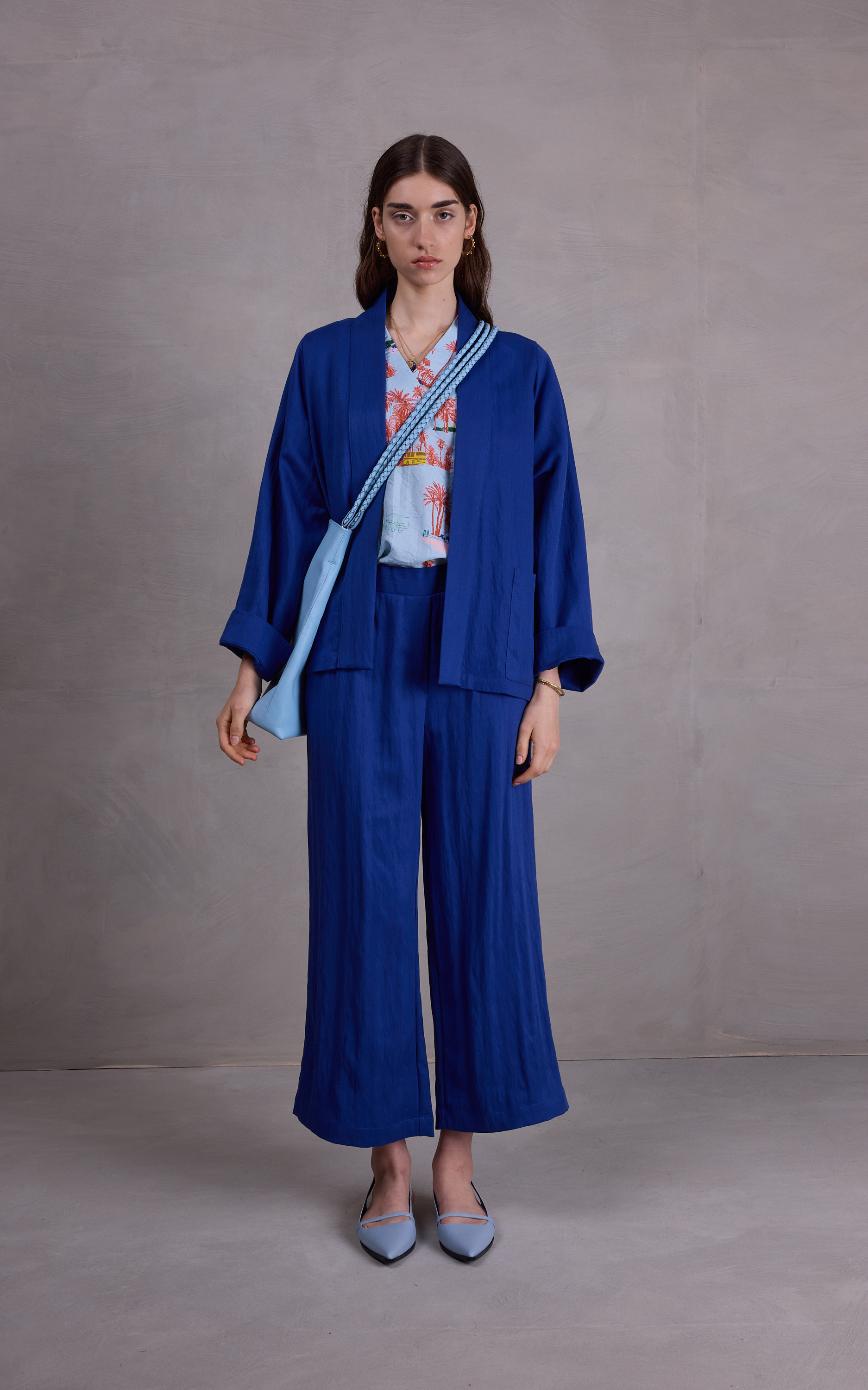 zoom in on Blauw Blouse image Blauw Blouse image