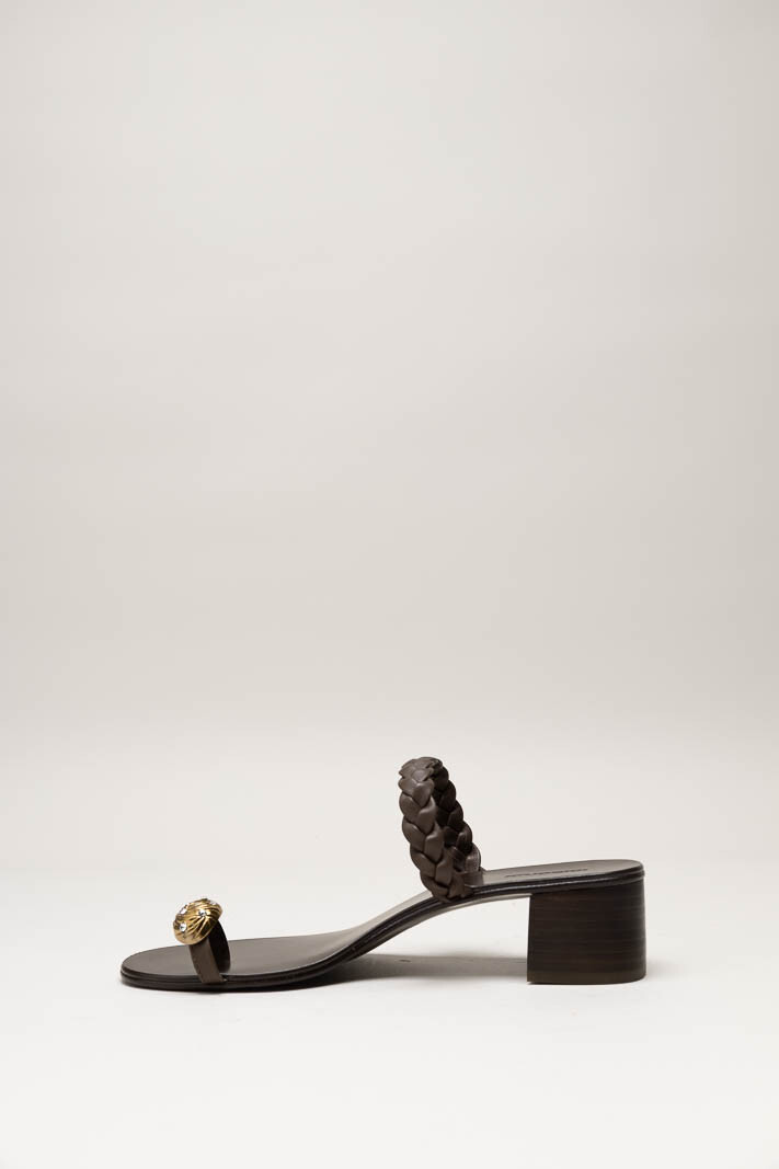 Donkerbruin Muiltje image