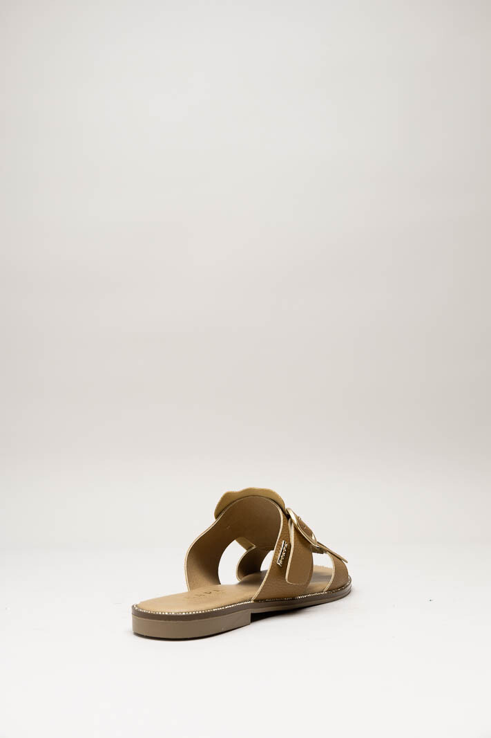 Bruin Slipper image