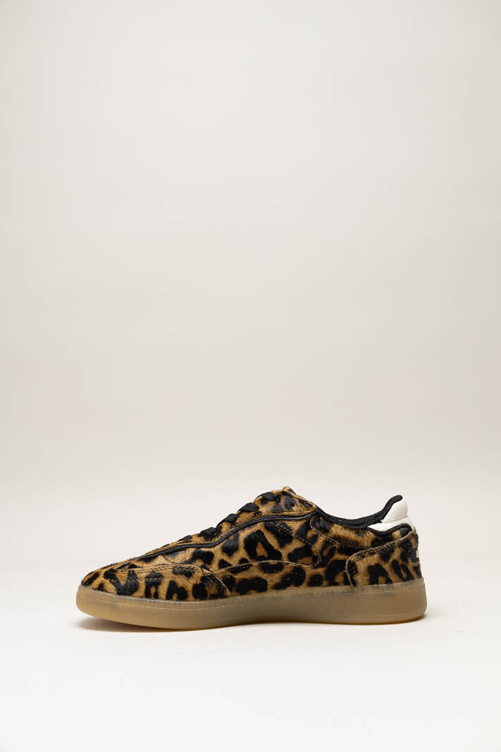 Bruin Sneaker image