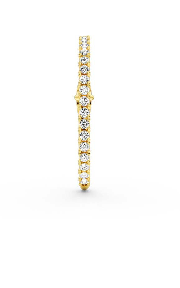 Goud Oorbellen image