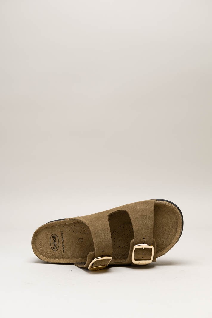 Bruin Slipper image