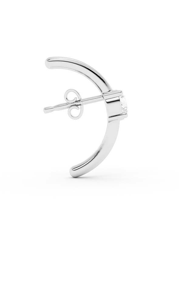 Zilver Oorbellen