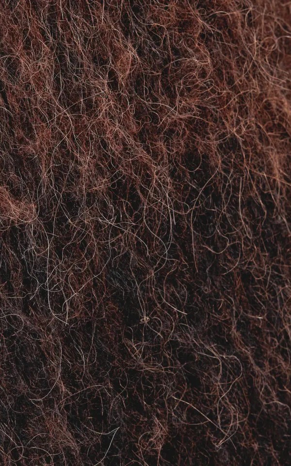 Bruin Trui image