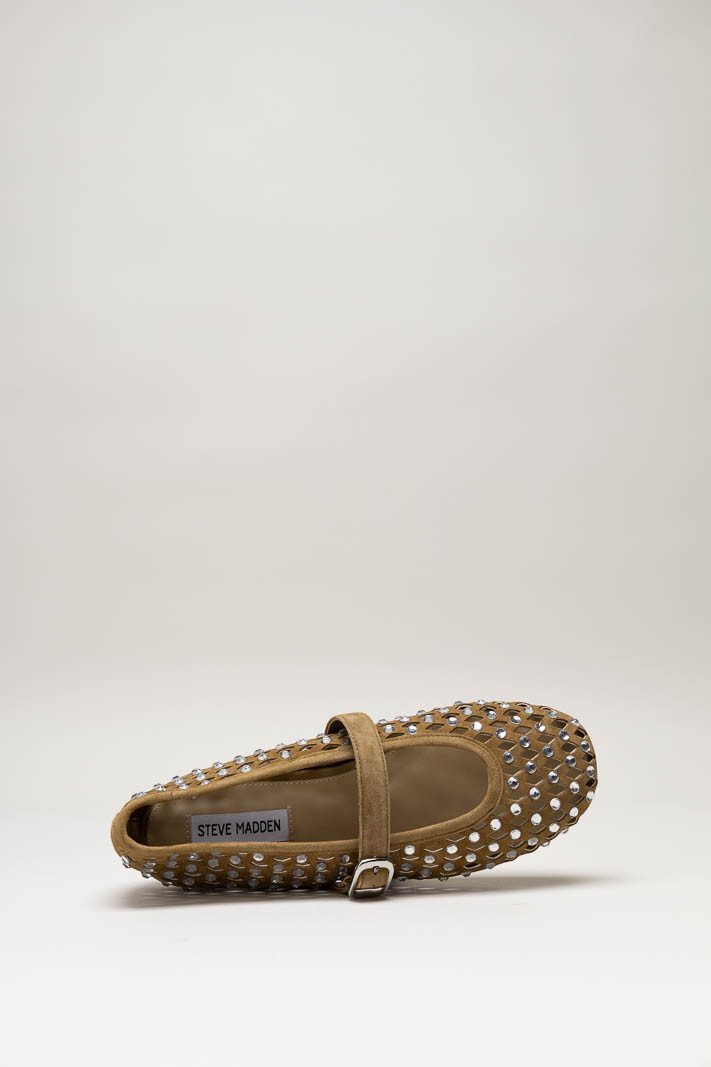 Bruin Ballerina image