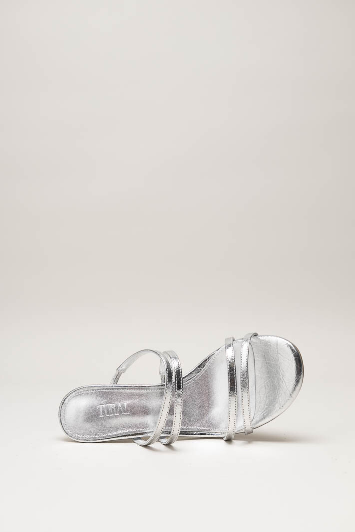 Zilver Muiltje image