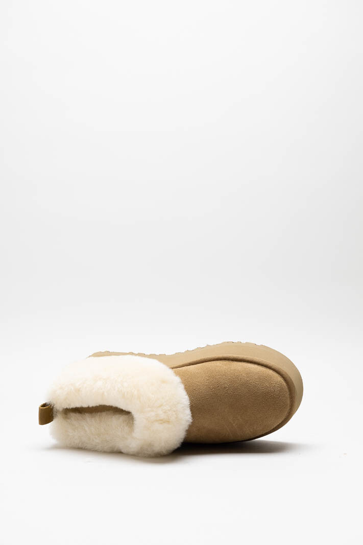 Camel Instapper image