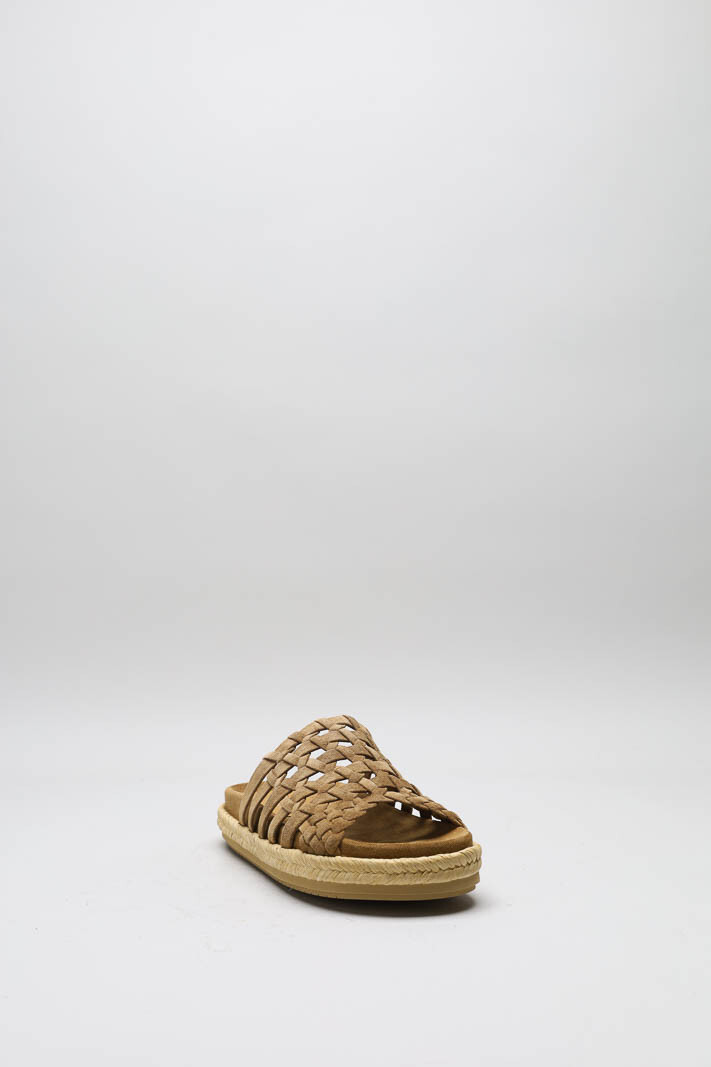 Bruin Slipper image