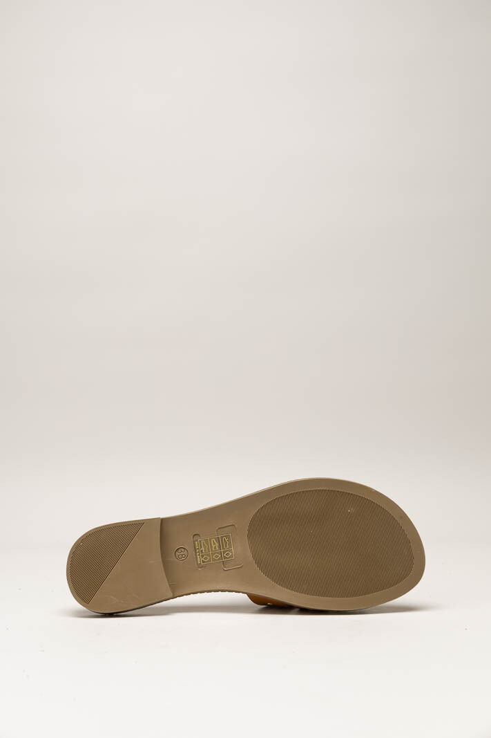 Bruin Slipper image