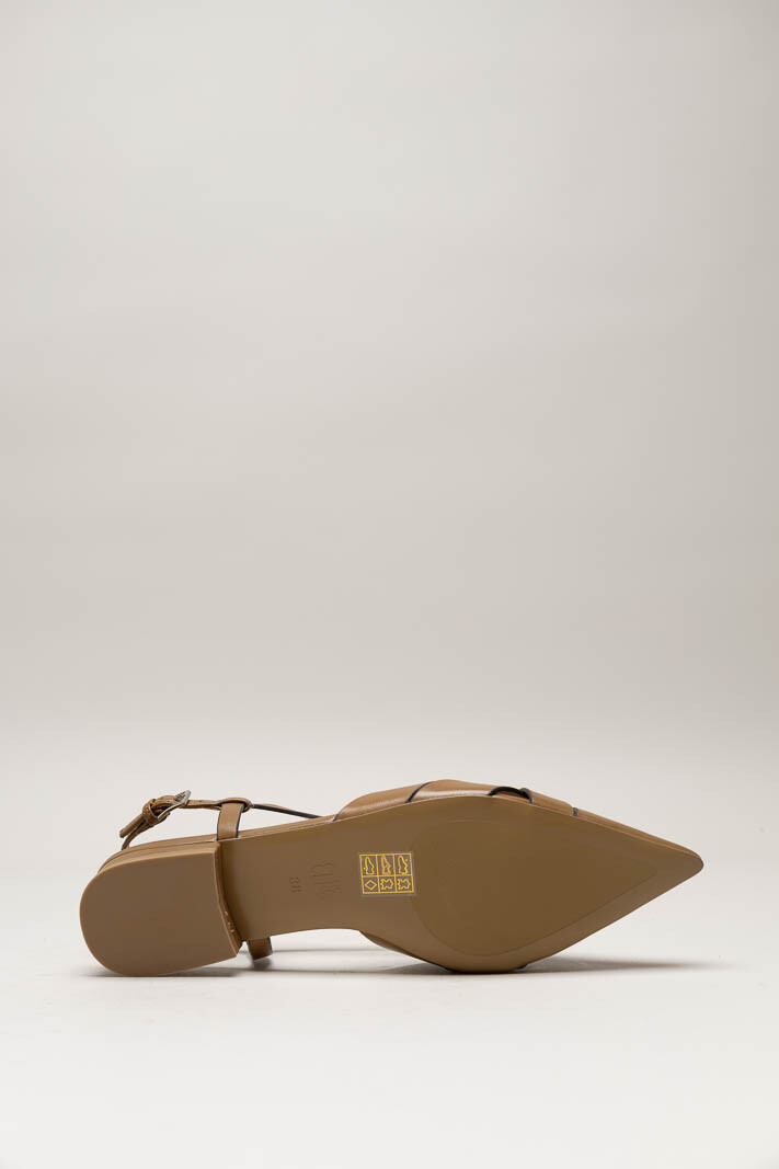 Bruin Ballerina image