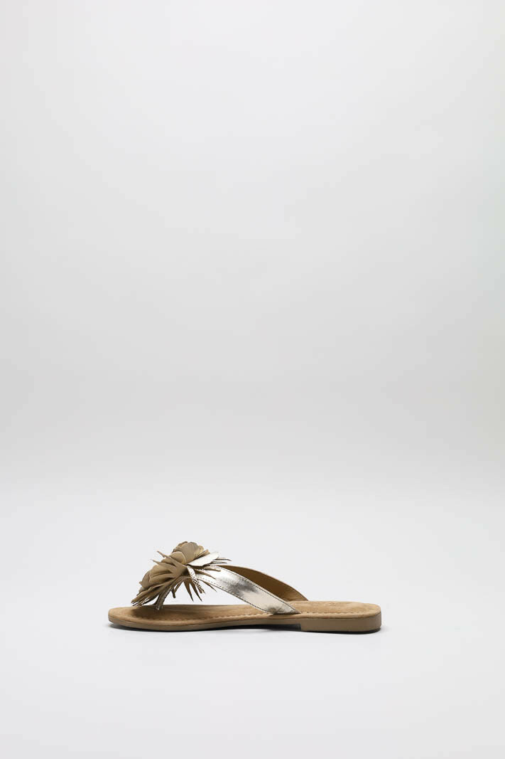 zoom in on Goud Slipper image Goud Slipper image