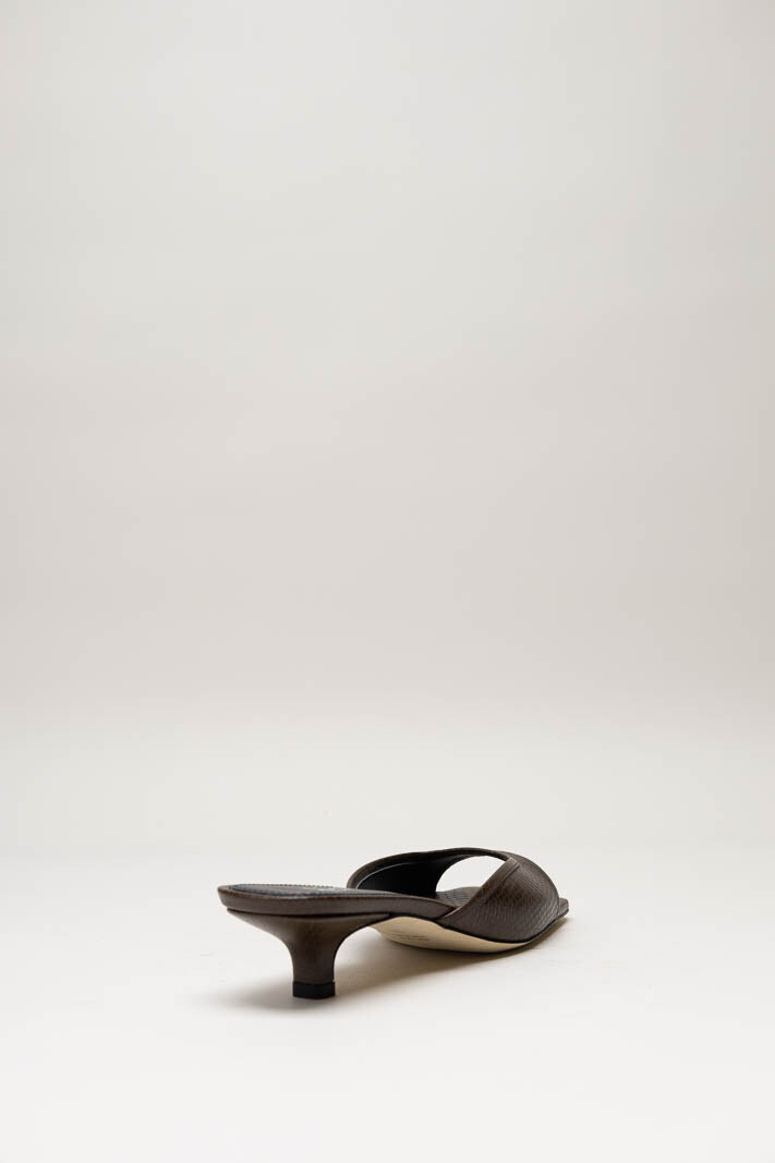 Donkerbruin Muiltje image