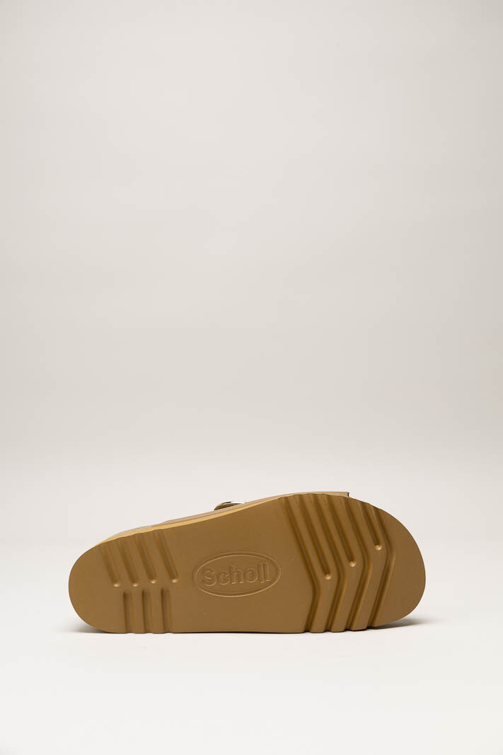 Bruin Slipper image