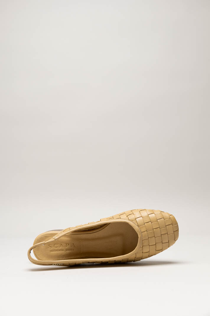 Camel Ballerina image