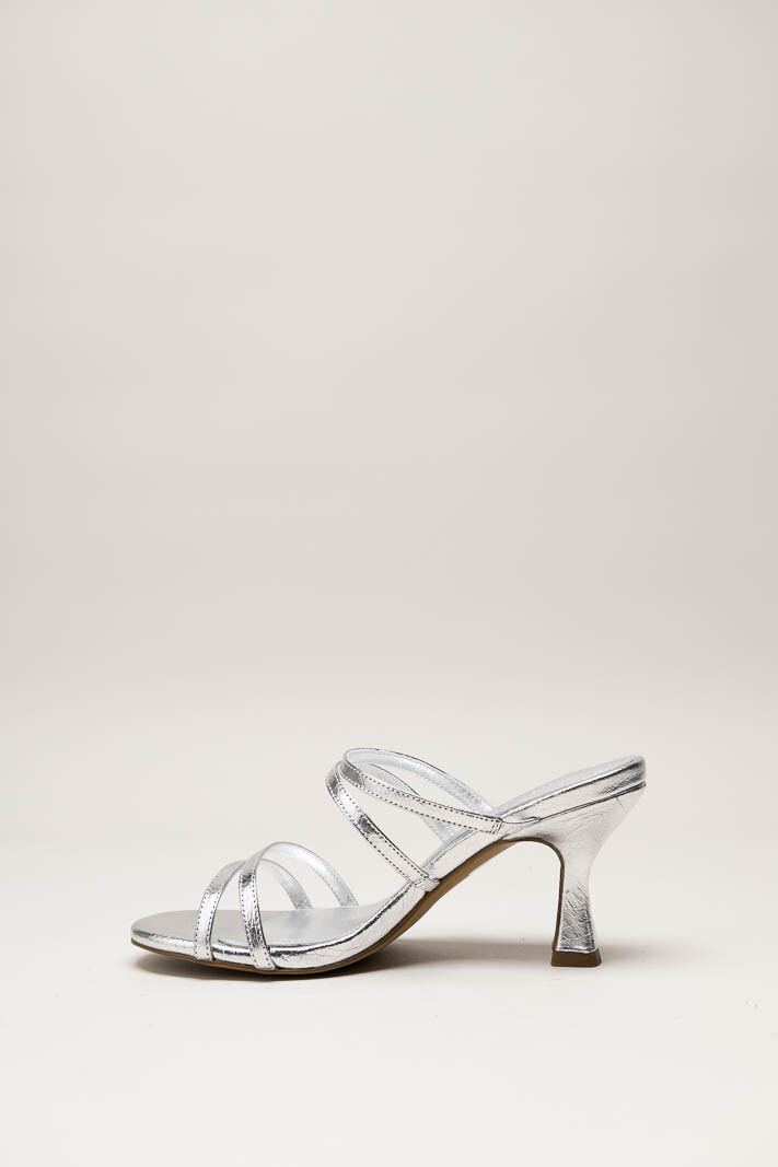 Zilver Muiltje image