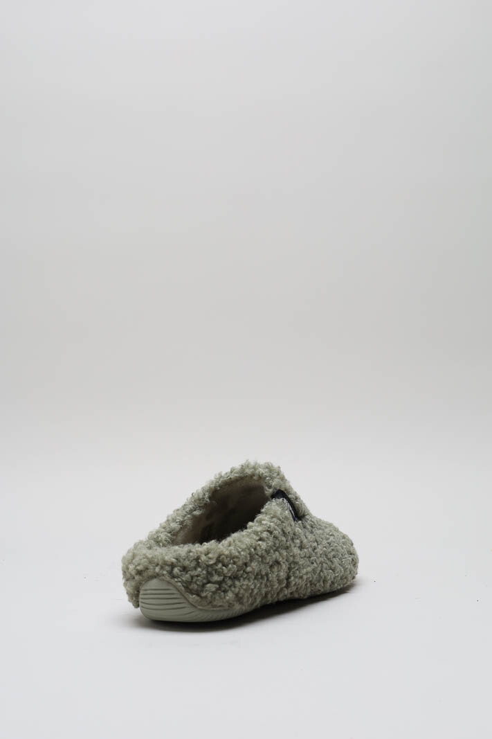 Groen Pantoffel image
