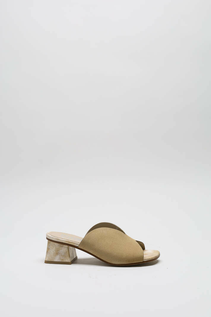 Camel Muiltje