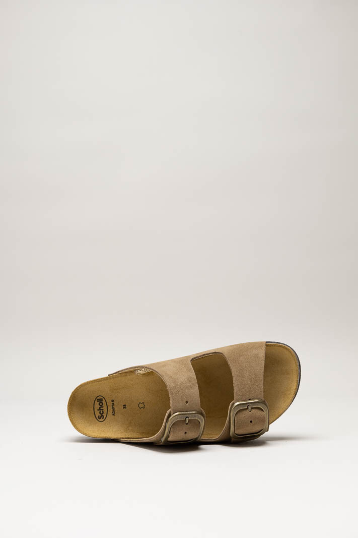 Bruin Slipper image
