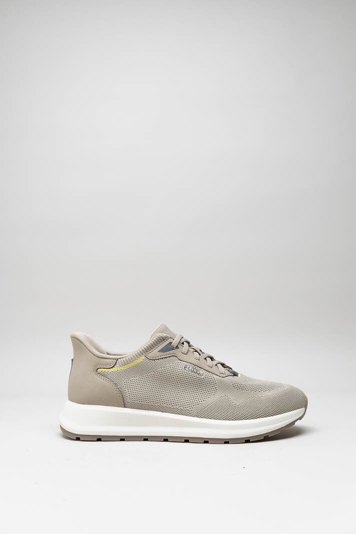 Taupe Sneaker