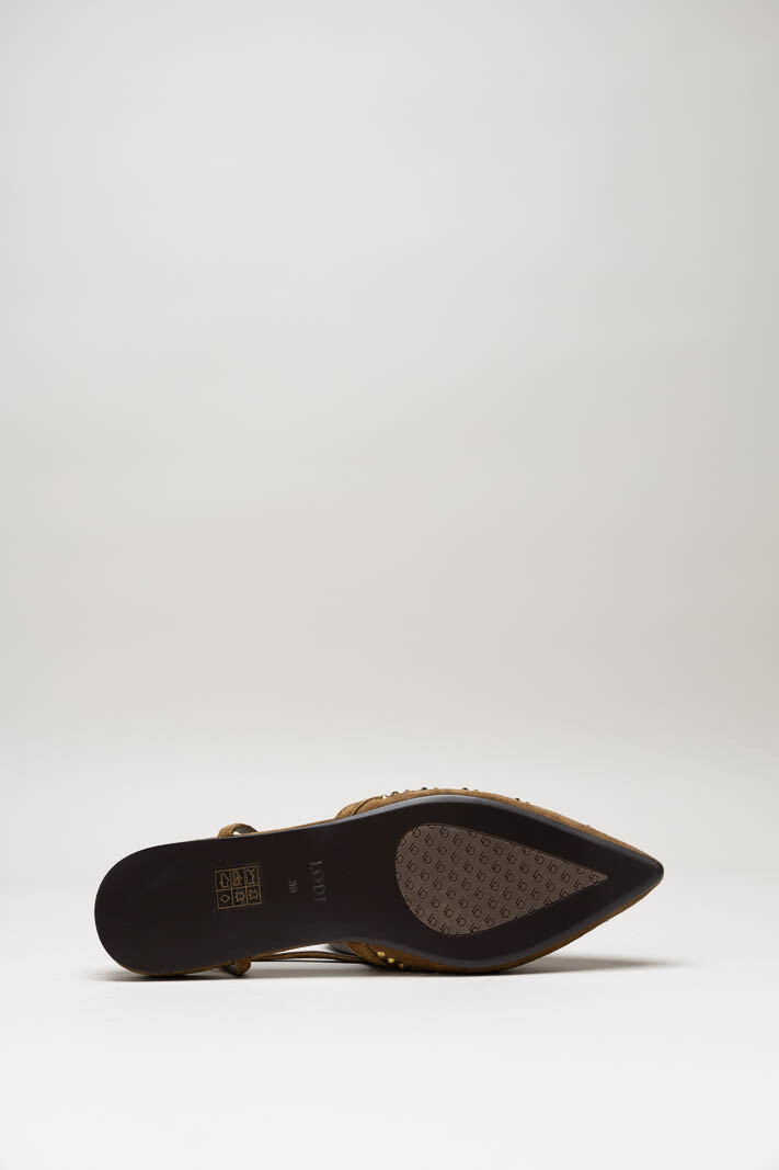 Bruin Ballerina image