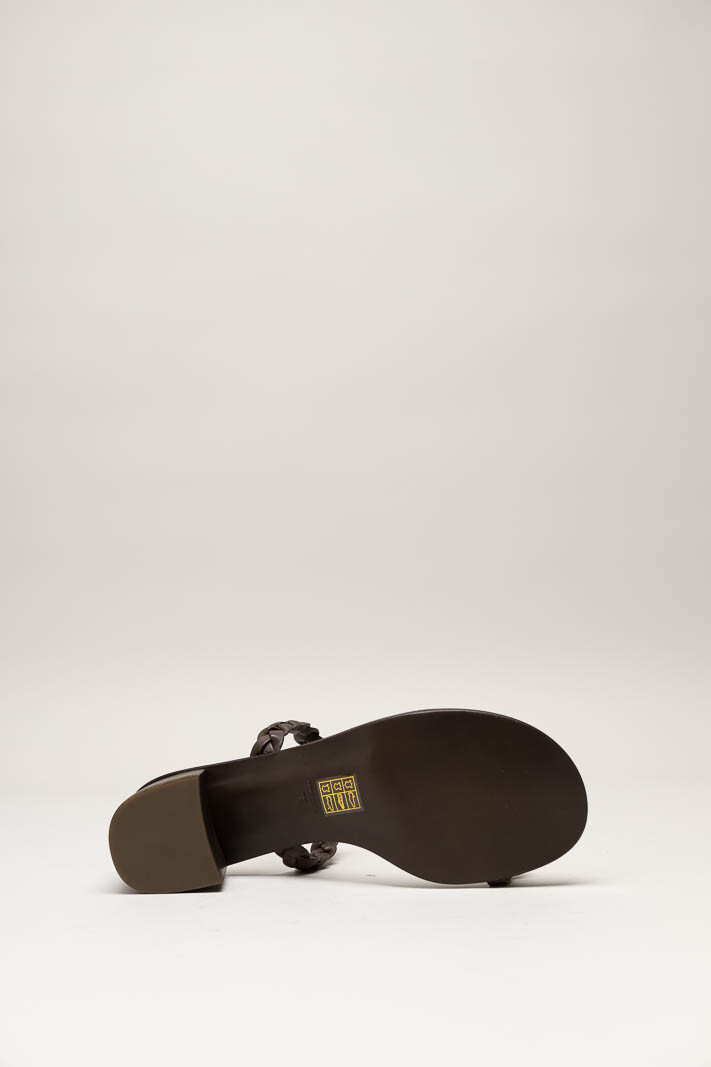 Donkerbruin Muiltje image