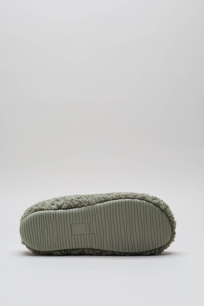 Groen Pantoffel image