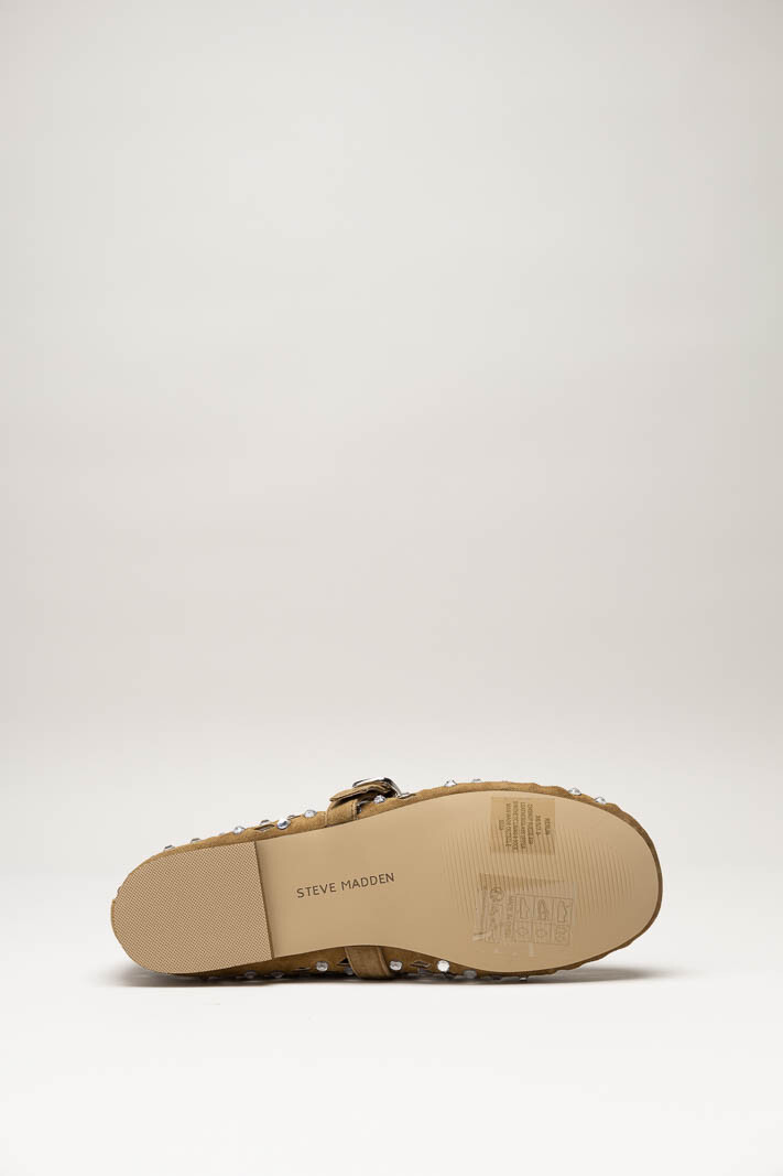 Bruin Ballerina image