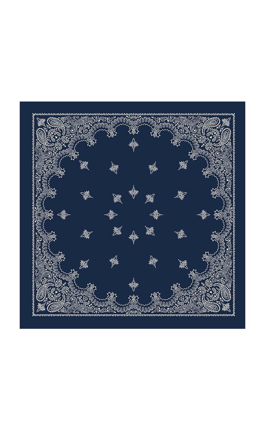 Blauw Sjaals image