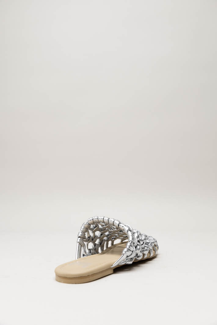 Zilver Muiltje image