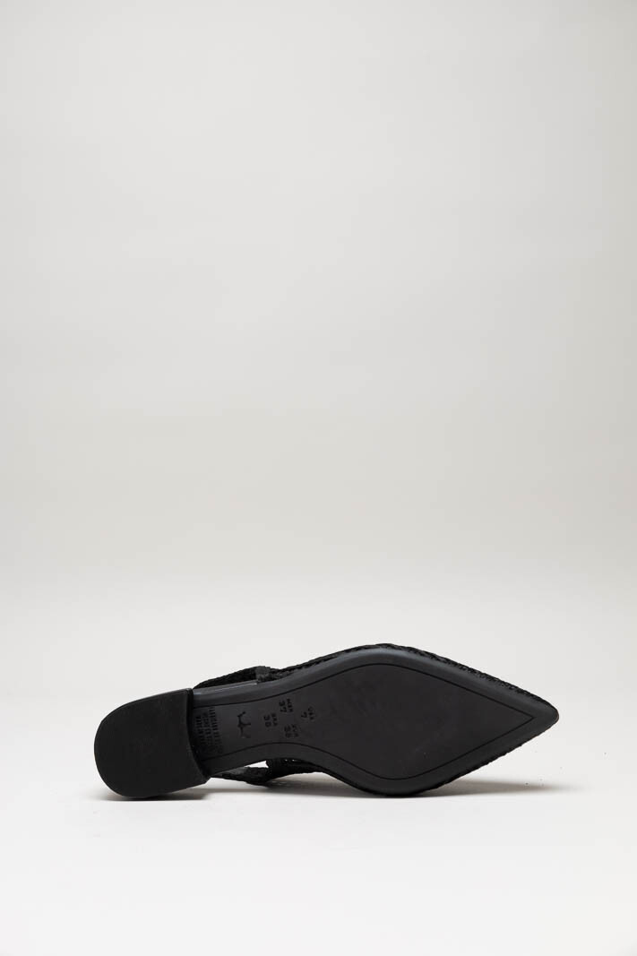 Zwart Ballerina image