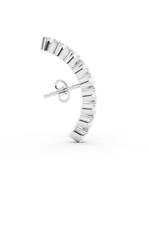 Zilver Oorbellen image