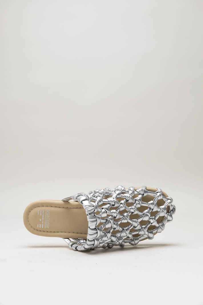 Zilver Muiltje image