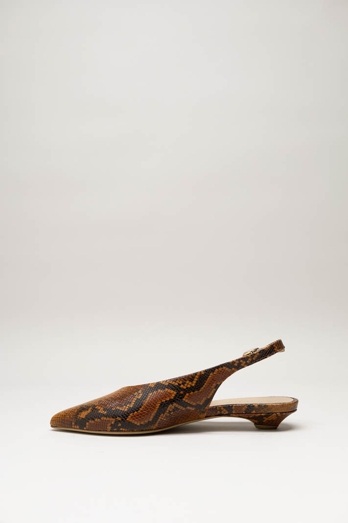 Roestbruin Ballerina image