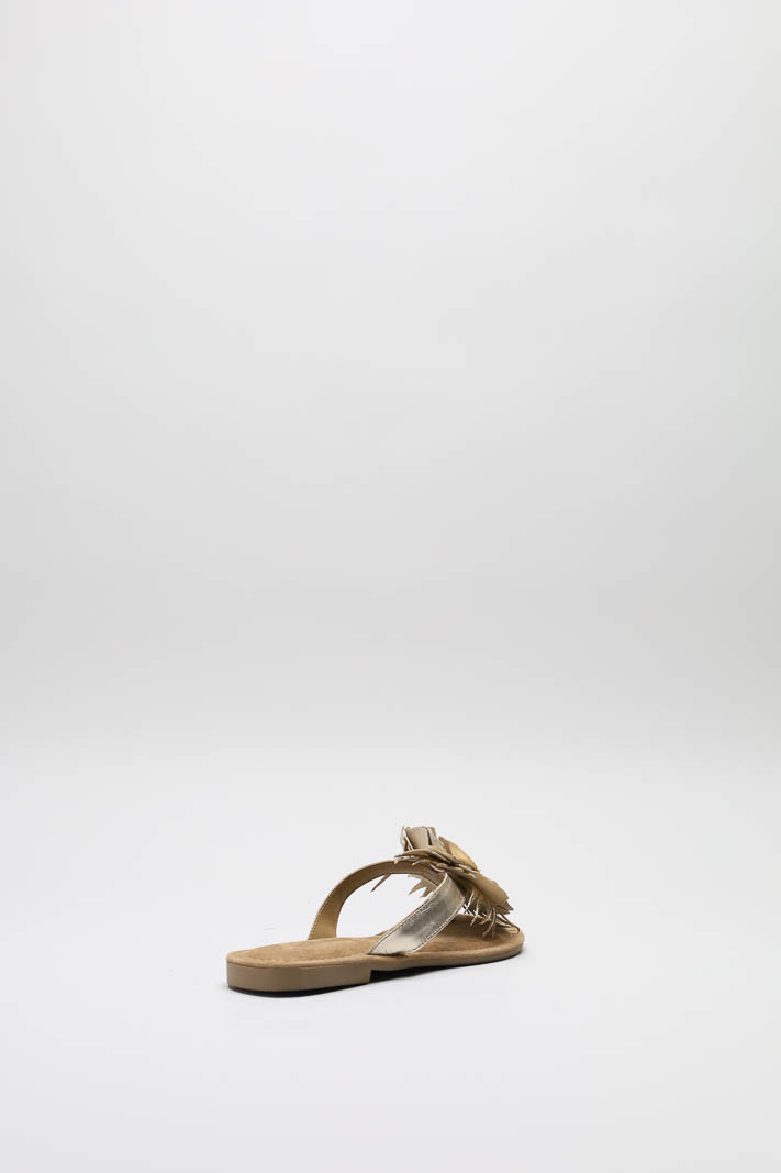 zoom in on Goud Slipper image Goud Slipper image