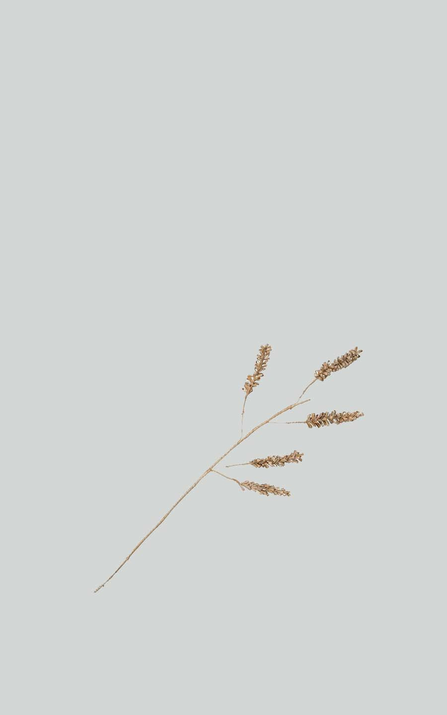 zoom in on Naturel Woonaccessoires image Naturel Woonaccessoires image