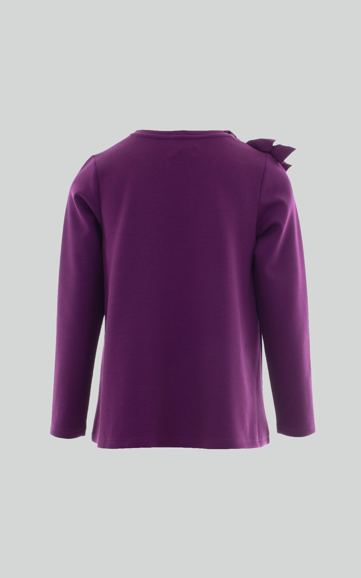 Paars Blouse