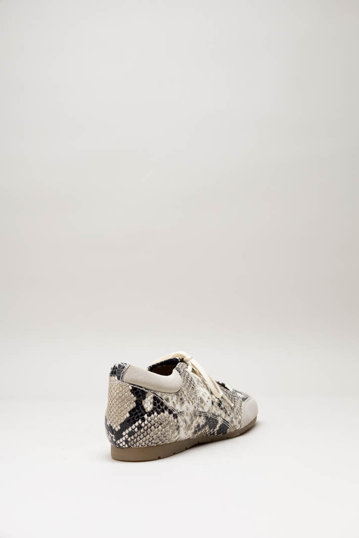 Greige Veterschoen image